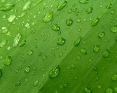 移动办公平台(什么是移动办公)