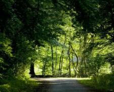 yy网页版登录界面(怎么登录yy,在哪里**)